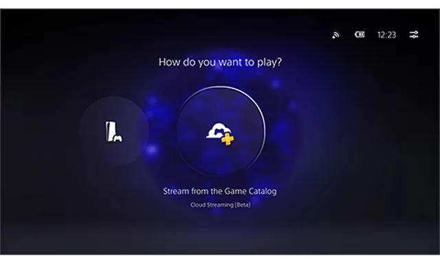 Playstation Portal